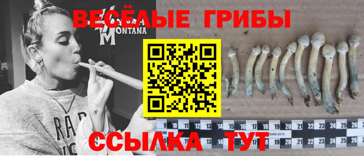 как найти наркотики  Галлюциногенные грибы Cubensis  Вход с VPN  Воскресенск 